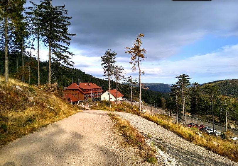 A view of the Black Forest in Germany