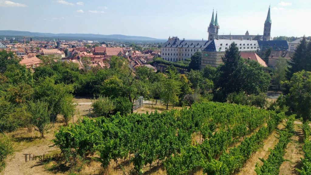 A vineyard overlooking Bamberg