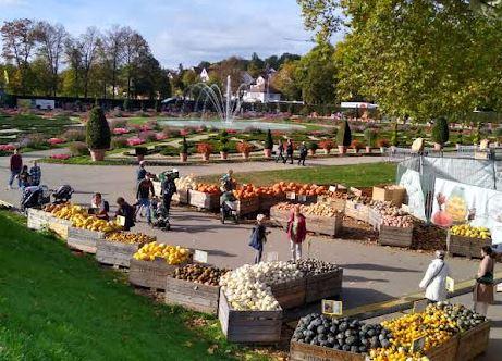 Crates of different pumpkins in the gardens of Ludwigsburg Palace.